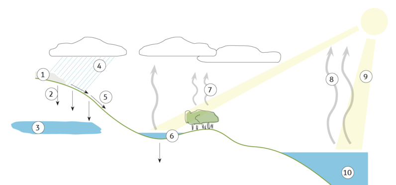 Illustration du cycle naturel de l’eau