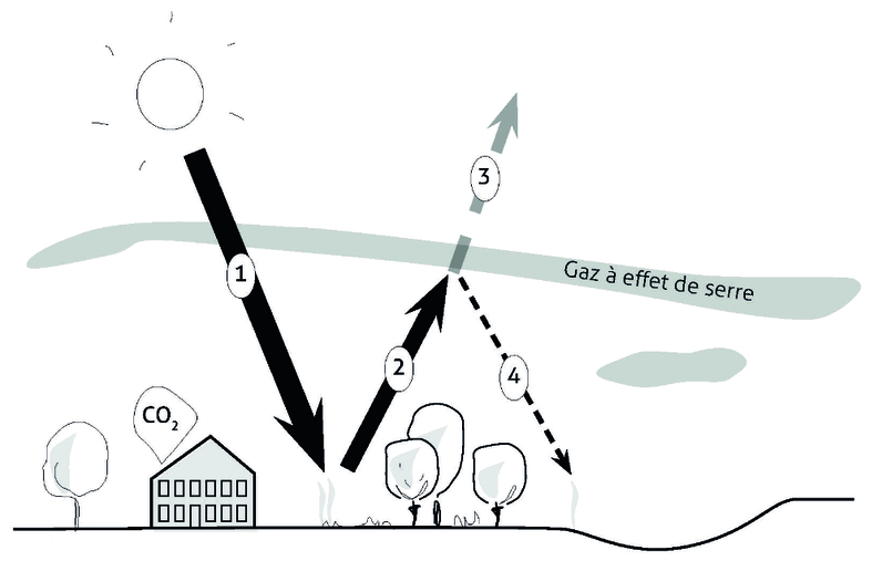 Atelier pédagogique : Sensibilisation aux enjeux environnementaux