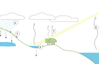 Illustration du cycle naturel de l’eau