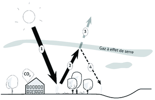 Atelier pédagogique : Sensibilisation aux enjeux environnementaux