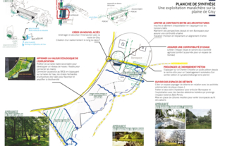 Planche de synthèse présentant une exploitation maraîchère sur la plaine de Gisy. Action menée en 2020 et 2021.