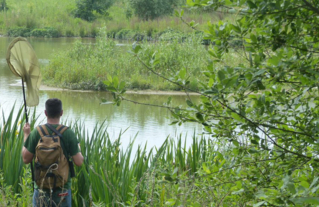 Capitale française de la Biodiversité 2021 : présentation du palmarès