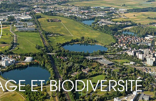 Capital Française de la biodiversité : Thème 2022 “paysage et biodiversité”