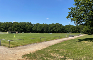 Le stade dans son écrin boisé à Igny.