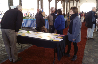 Atelier de participation sous la halle du marché, pendant le forum de Dourdan.