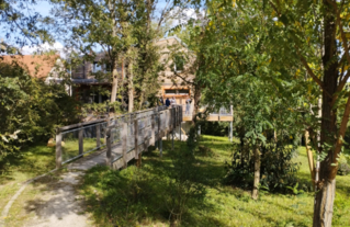 La maison vue depuis la rue - Oncy-sur-Ecole - Gîte Bloasis - MOA privée/Doucet architectes