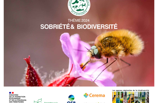 Le thème de cette année portera sur “Sobriété & biodiversité”