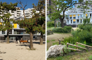 Avant/après sur la place de la Résistance. les nouveaux massifs et aménagements accompagnent les pieds d'arbres et apportent de la gaité dans cet espace anciennement très minéral