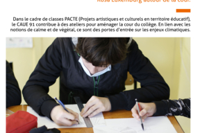 Fiche action, A Lisses, avec des classes “PACTE” - pg1