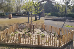 Nouveau parterre de plantes et d'arbres locaux.