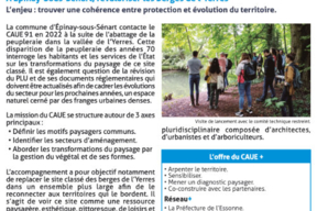 Rapport d'activité et actions en cours d'octobre 2023 à mai 2024 | pg11