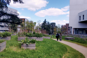 Le quartier Vilgénis à  Massy se caractérise par la grande place accordée au végétal et aux espaces publics.