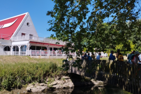 Marches exploratoires avec des élu.e.s et des associations, en 2022 | 2022 à 2024