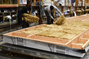 Préfabrication d’un mur ossature bois (MOB) dans les atelier de Méha - mars2024