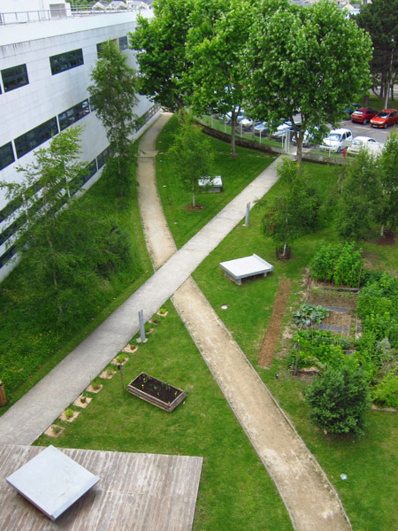 2013-CAUE-jardin_en_chantier.jpg