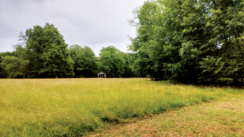 Au loin, le temple égyptien niché au fond d’une prairie haute. Entre biodiversité et préservation du patrimoine, où mettre le curseur ? | Action menée en 2023-2024