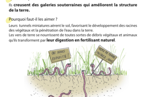 Fiche LES VERS DE TERRE.jpeg